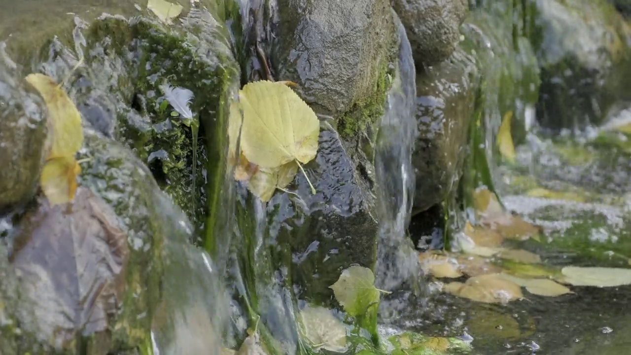 水流，潮湿的苔藓岩石，小瀑布视频素材