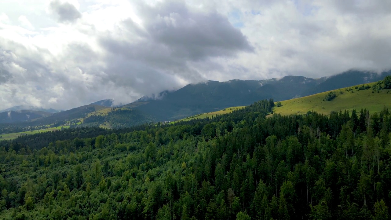 山区森林，无人机飞行乌克兰喀尔巴阡山脉针叶树景观全景视频素材