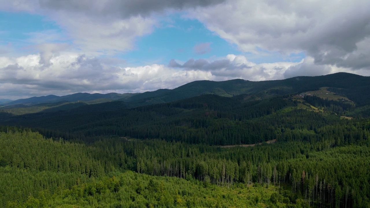 山区森林，无人机飞行乌克兰喀尔巴阡山脉针叶树景观全景视频素材