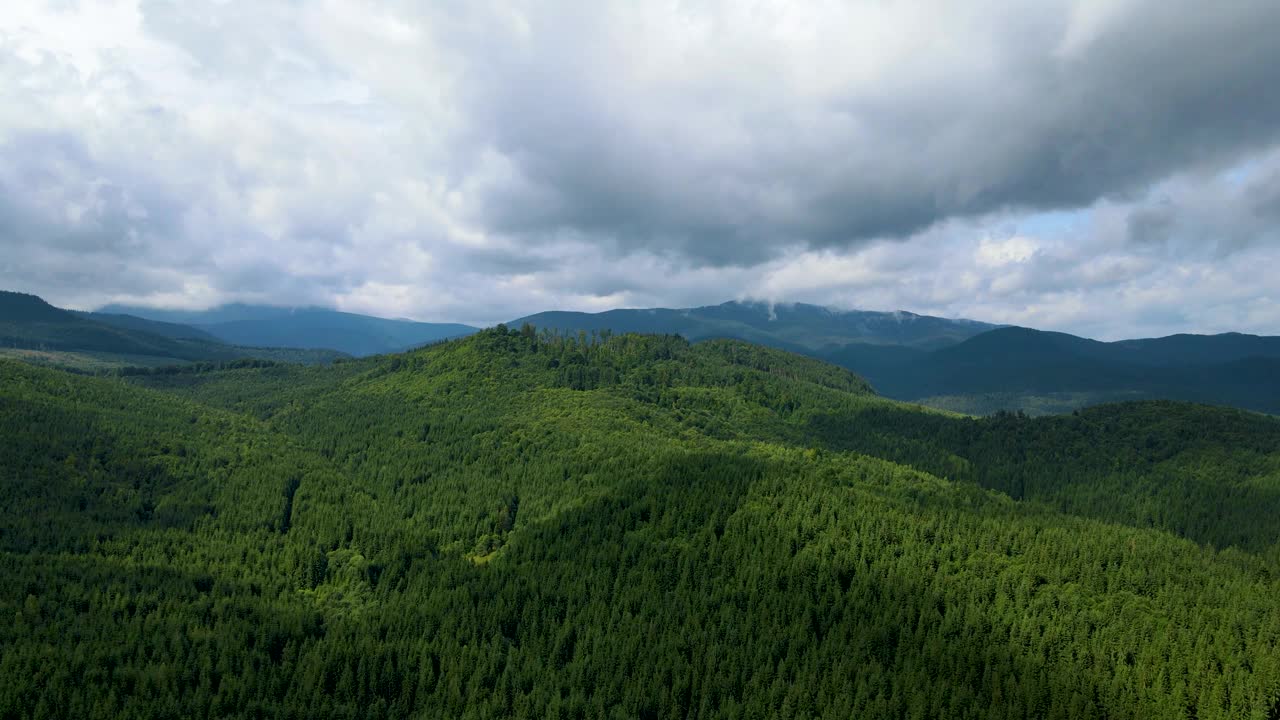 山区森林，无人机飞行乌克兰喀尔巴阡山脉针叶树景观全景视频素材