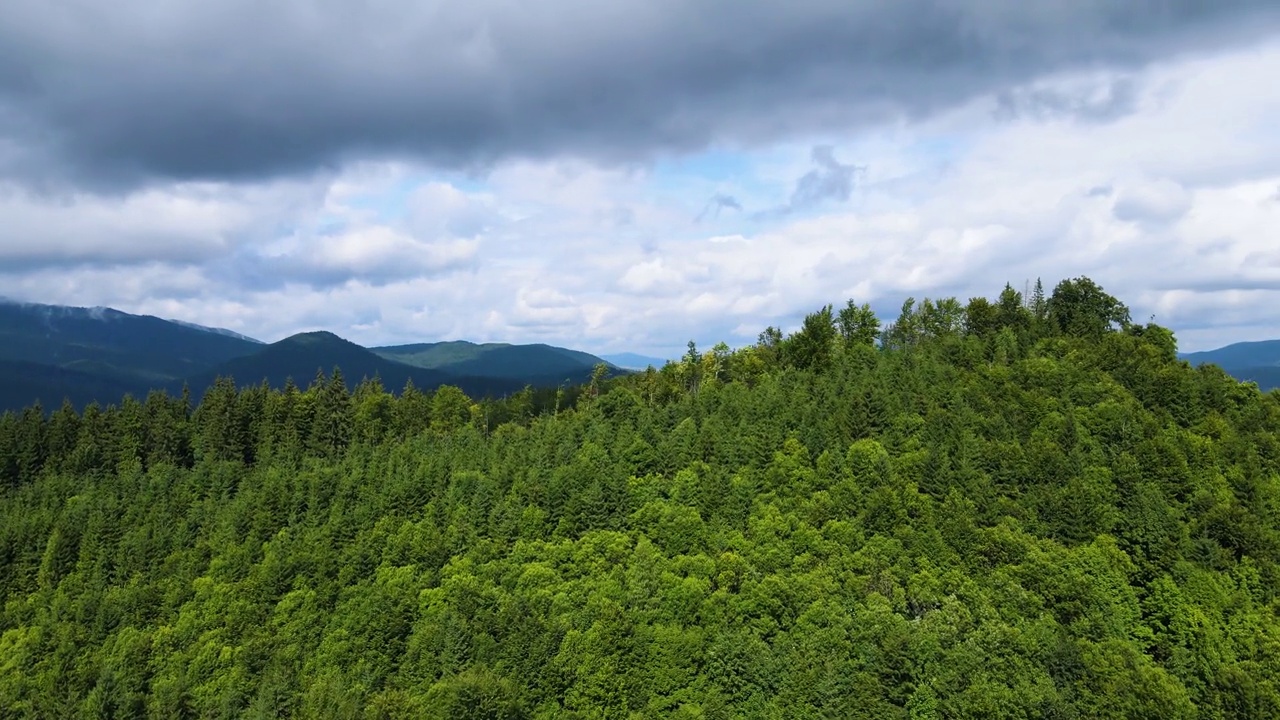 山区森林，无人机飞行乌克兰喀尔巴阡山脉针叶树景观全景视频素材