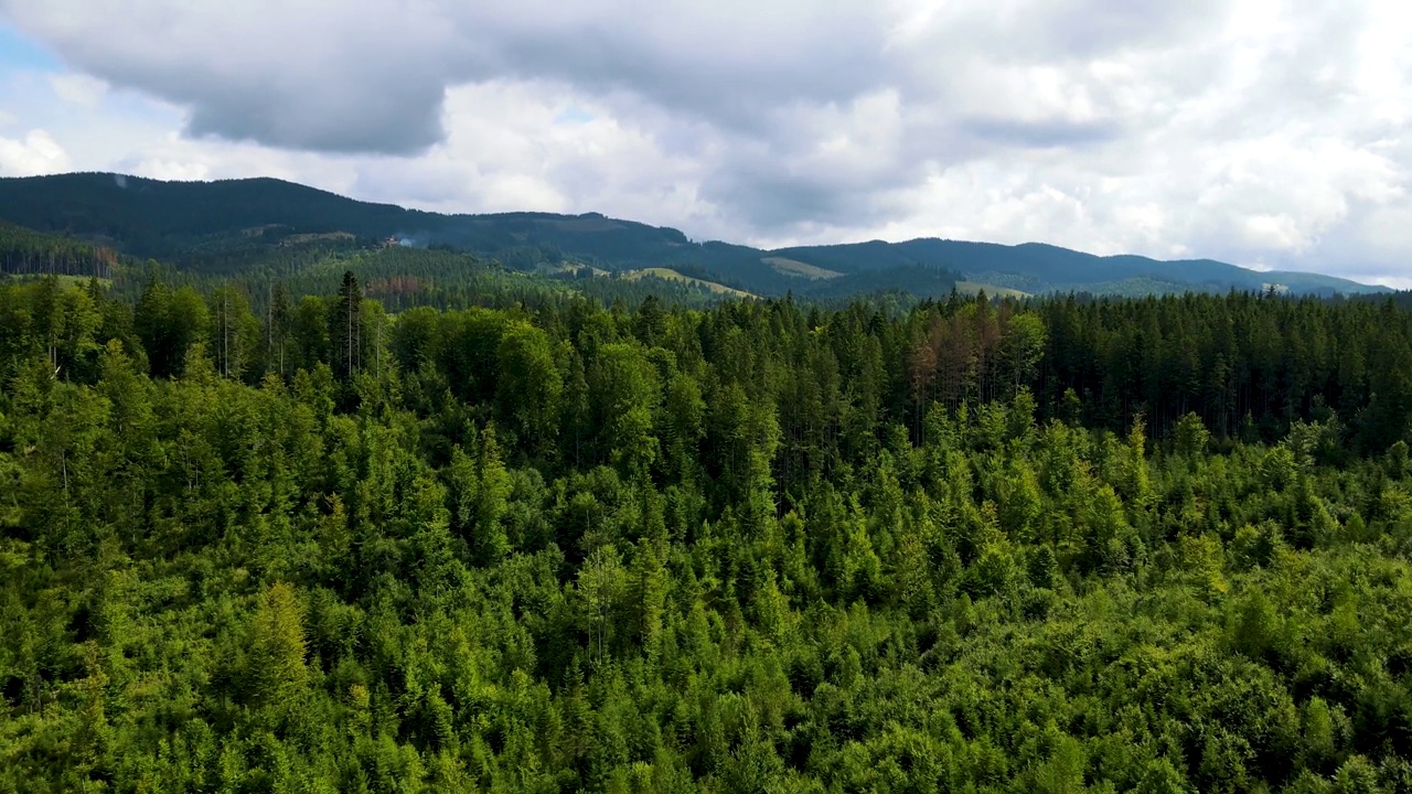 山区森林，无人机飞行乌克兰喀尔巴阡山脉针叶树景观全景视频素材