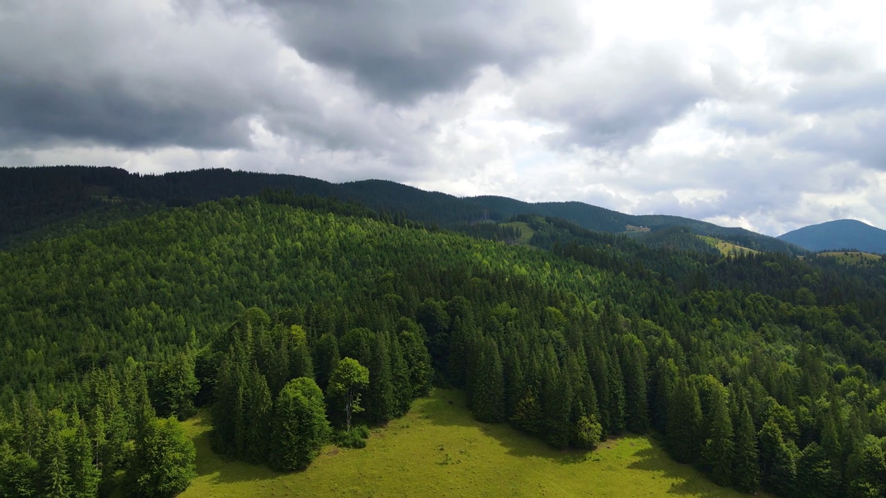 山区森林，无人机飞行乌克兰喀尔巴阡山脉针叶树景观全景视频素材