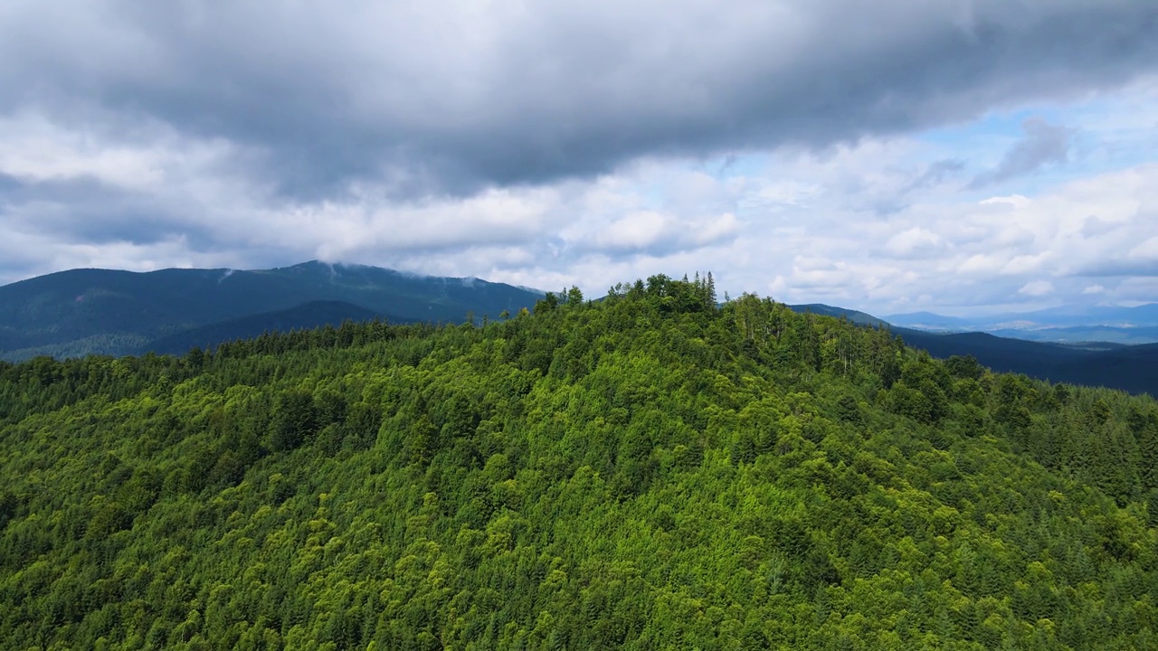 山区森林，无人机飞行乌克兰喀尔巴阡山脉针叶树景观全景视频素材