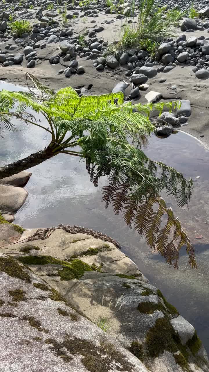 美丽的河流，奇特的岩石和干净的水。视频素材