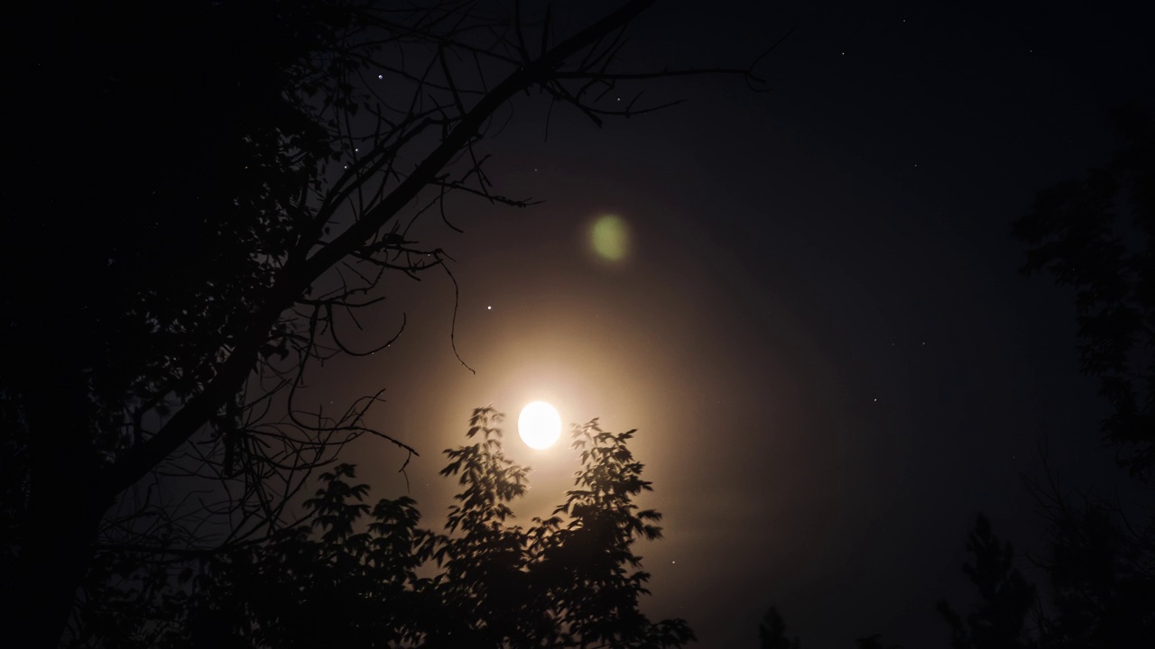 延时满月在夜空中穿过剪影的树枝视频素材