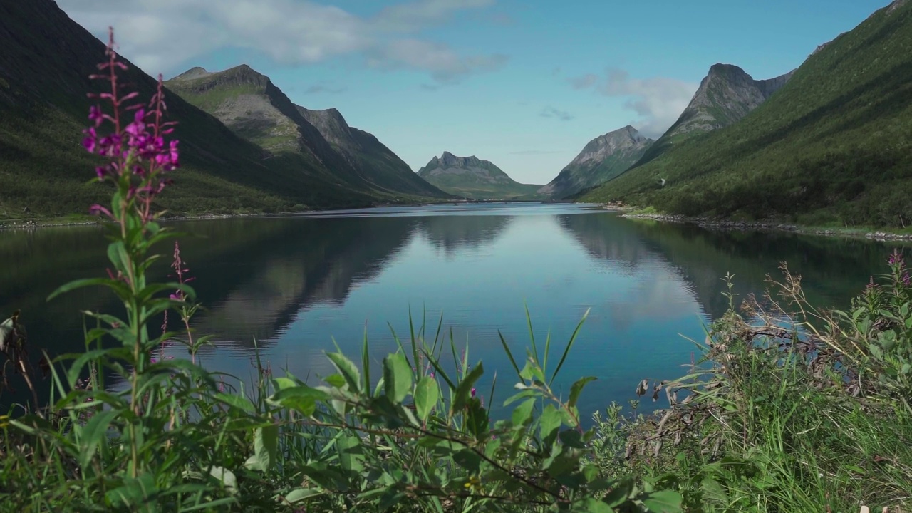 宁静的风景峡湾在格里勒峡湾，Senja，挪威视频素材