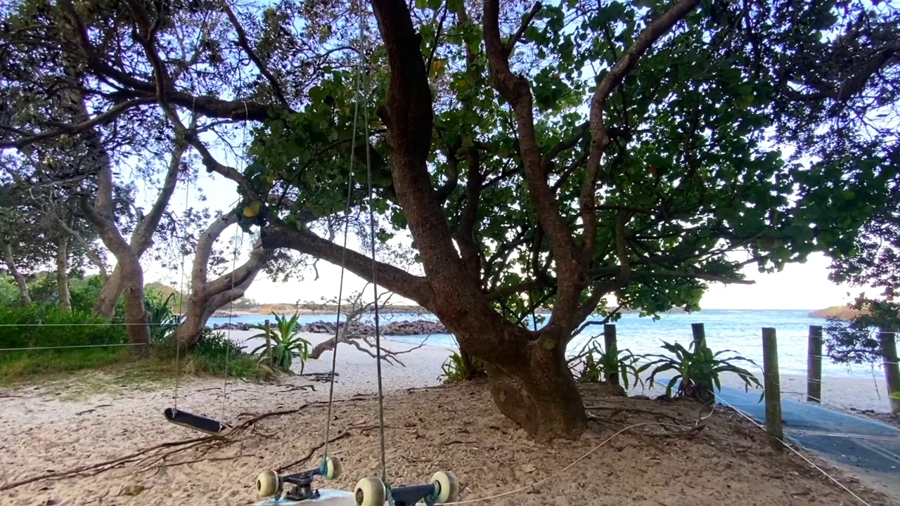海岸树上的海滨秋千视频下载