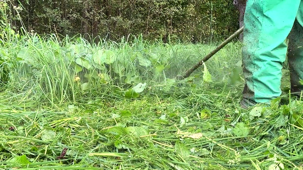 园丁修剪杂草。剪草机和割草机。草坪养护服务。视频素材