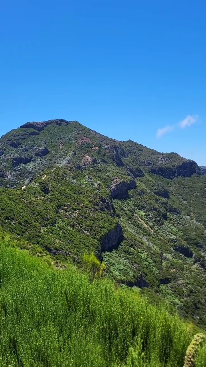 马德拉山视频素材