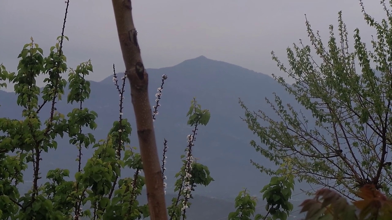 巴基斯坦哈扎拉地区阿伯塔巴德市Lakhala村令人惊叹的雨天视频素材