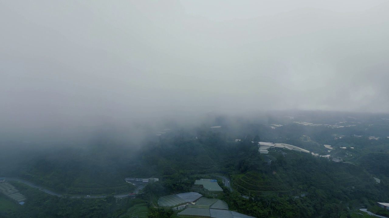 清晨，金马仑高地的茶园，鸟瞰有雾的景象视频下载