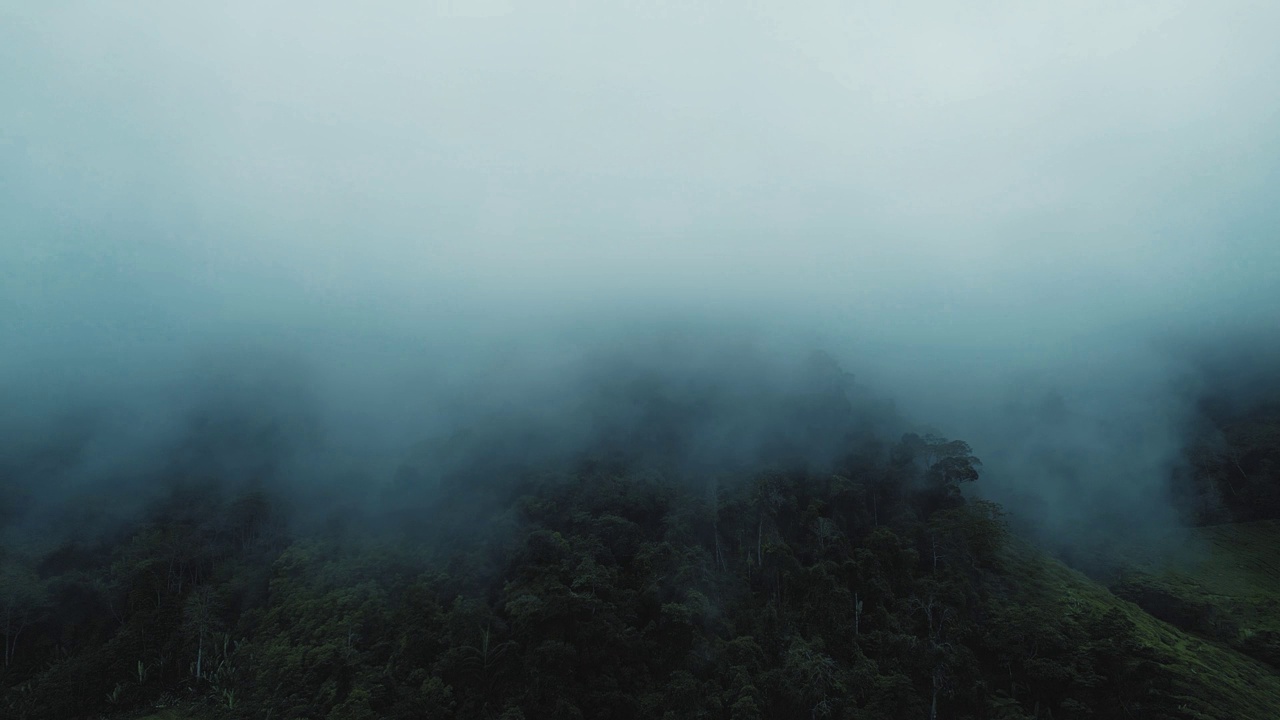 清晨，金马仑高地的茶园，鸟瞰有雾的景象视频下载