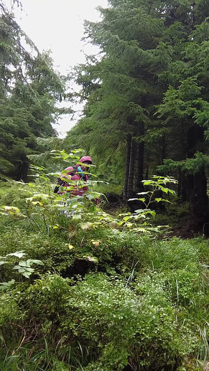 一位妇女徒步旅行，沿着森林里一条有标记的小路走下去。视频素材