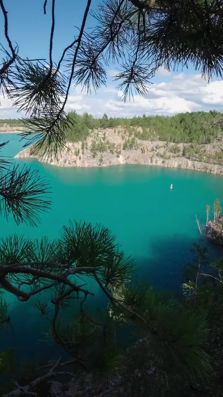 透过树枝看到风景如画的海湾。绿松石般的湖水景观。垂直视频视频素材