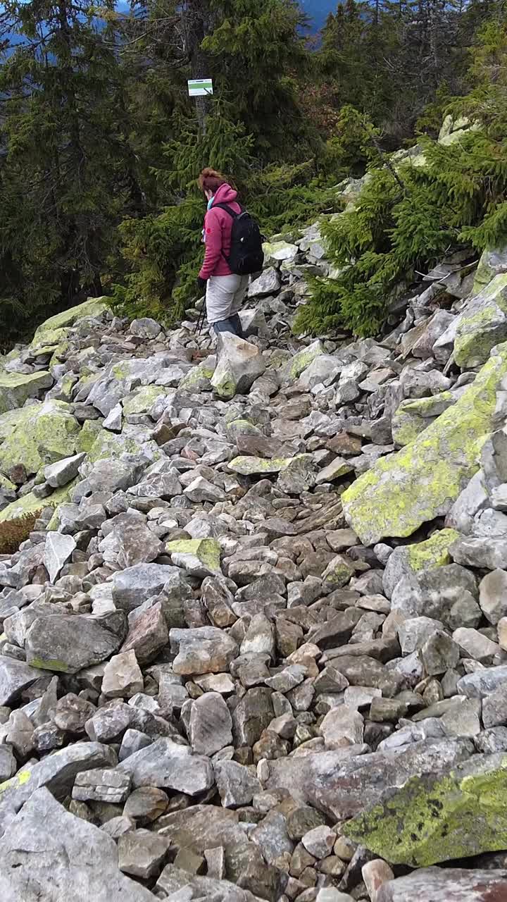 一位手持登山杖的妇女在登山途中走下一条布满岩石的小路视频素材