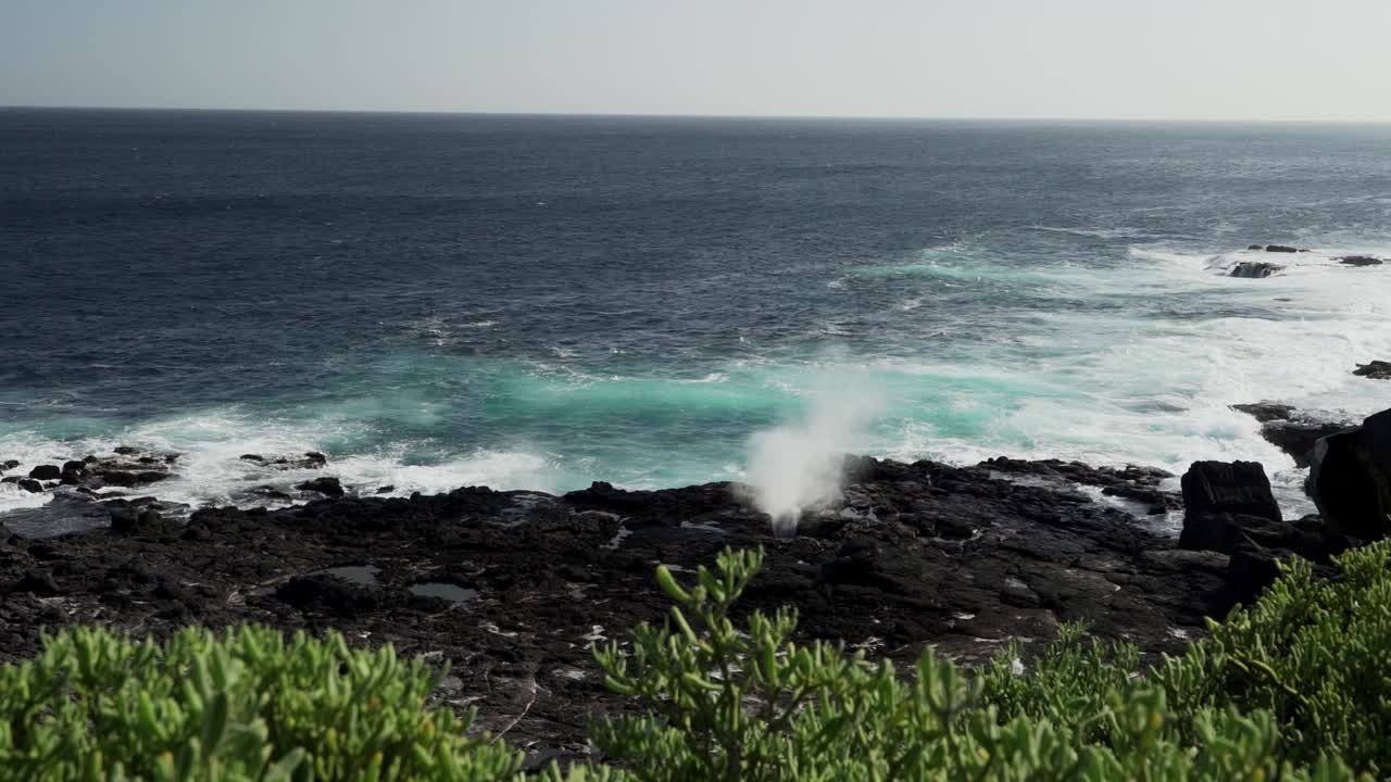 在加拉帕戈斯群岛的熔岩海滩上，太平洋的海水通过一个吹孔被挤压，喷出咸水喷雾。视频素材