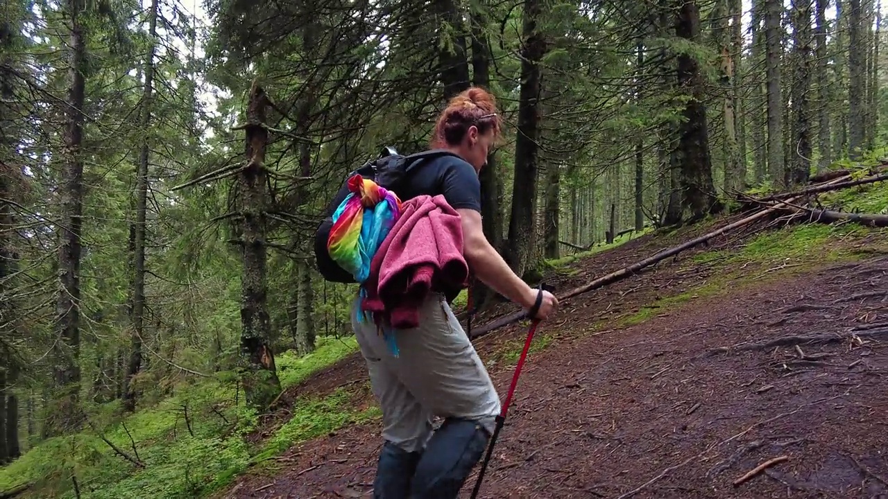 一位妇女拿着登山杖在森林里爬山。视频素材