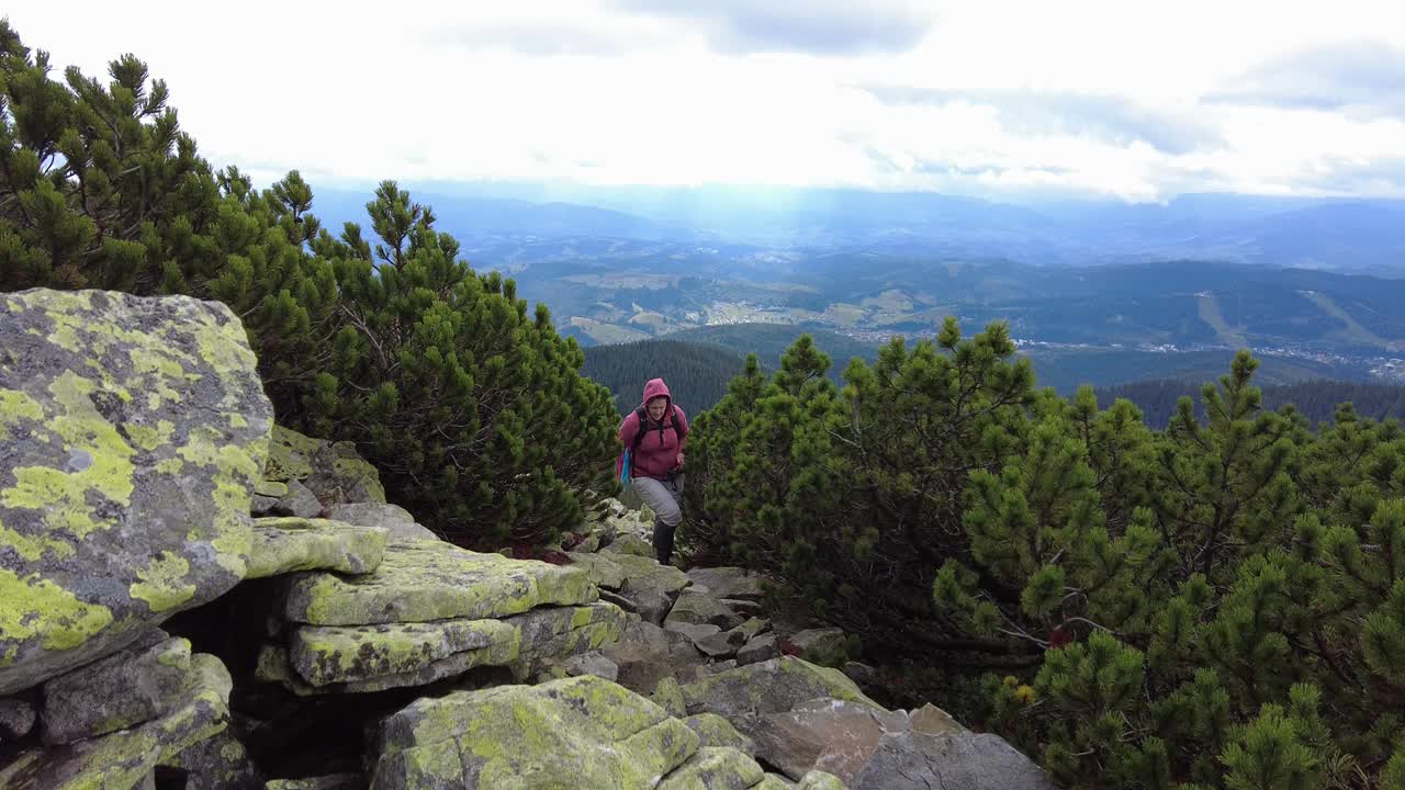 一位妇女在山上徒步旅行时爬上高山松树间的石头视频素材