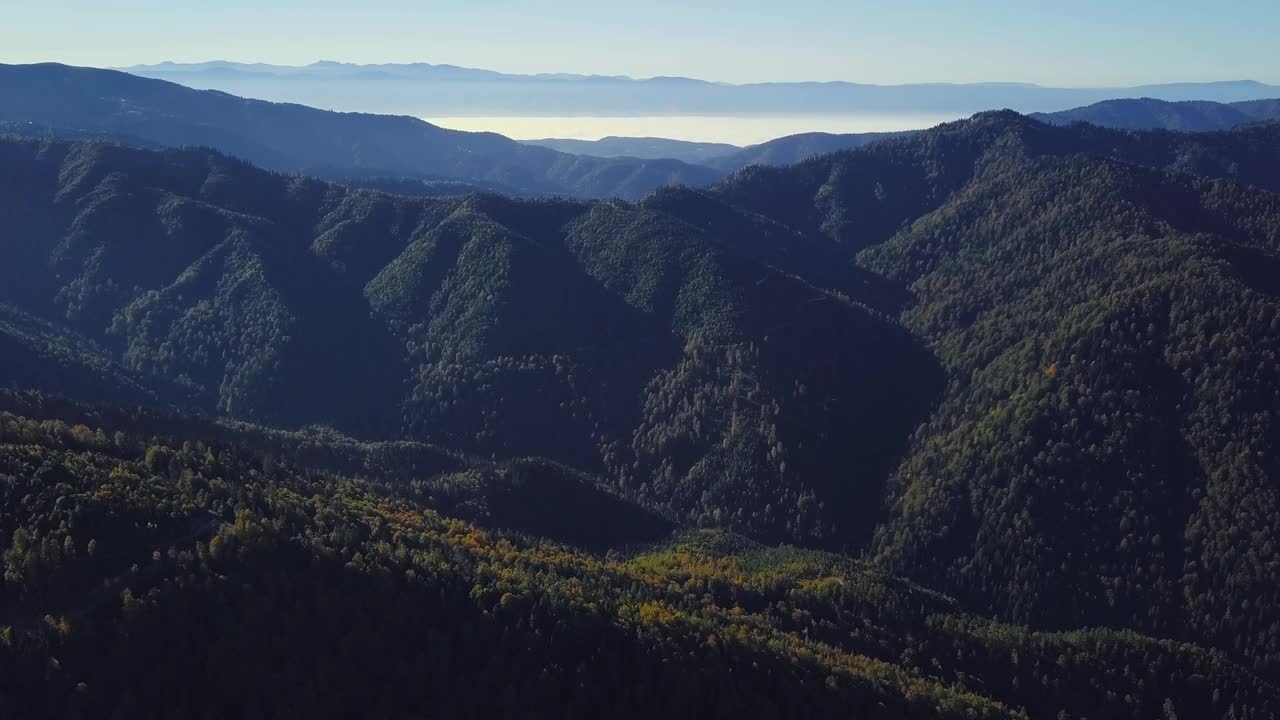 航拍小车变焦。小山与山脉的背景。日出时的山脊，前景中的云杉林和层层叠叠的小山。视频素材