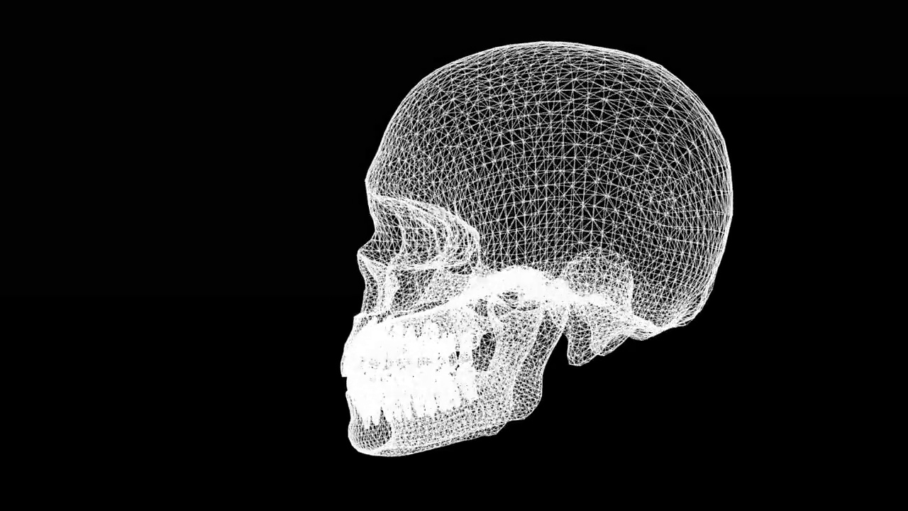 旋转三维线框头骨运动图形与纯黑色背景视频素材