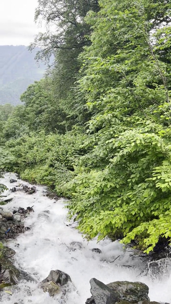 在阳光明媚的夏日漫步在山间，欣赏瀑布。视频下载