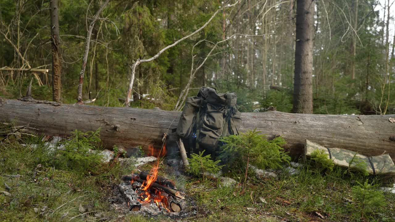 在森林营地露营篝火视频素材
