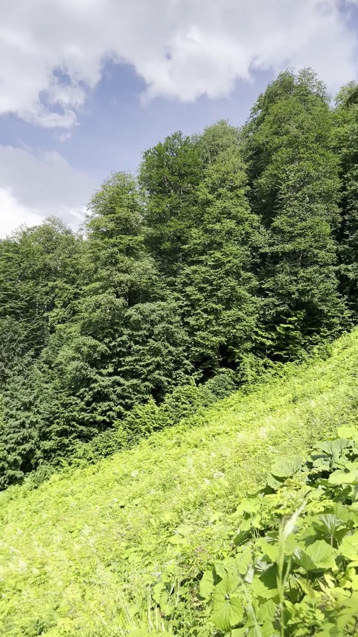 在一个阳光明媚的夏日漫步在山上，乘坐缆车。视频下载