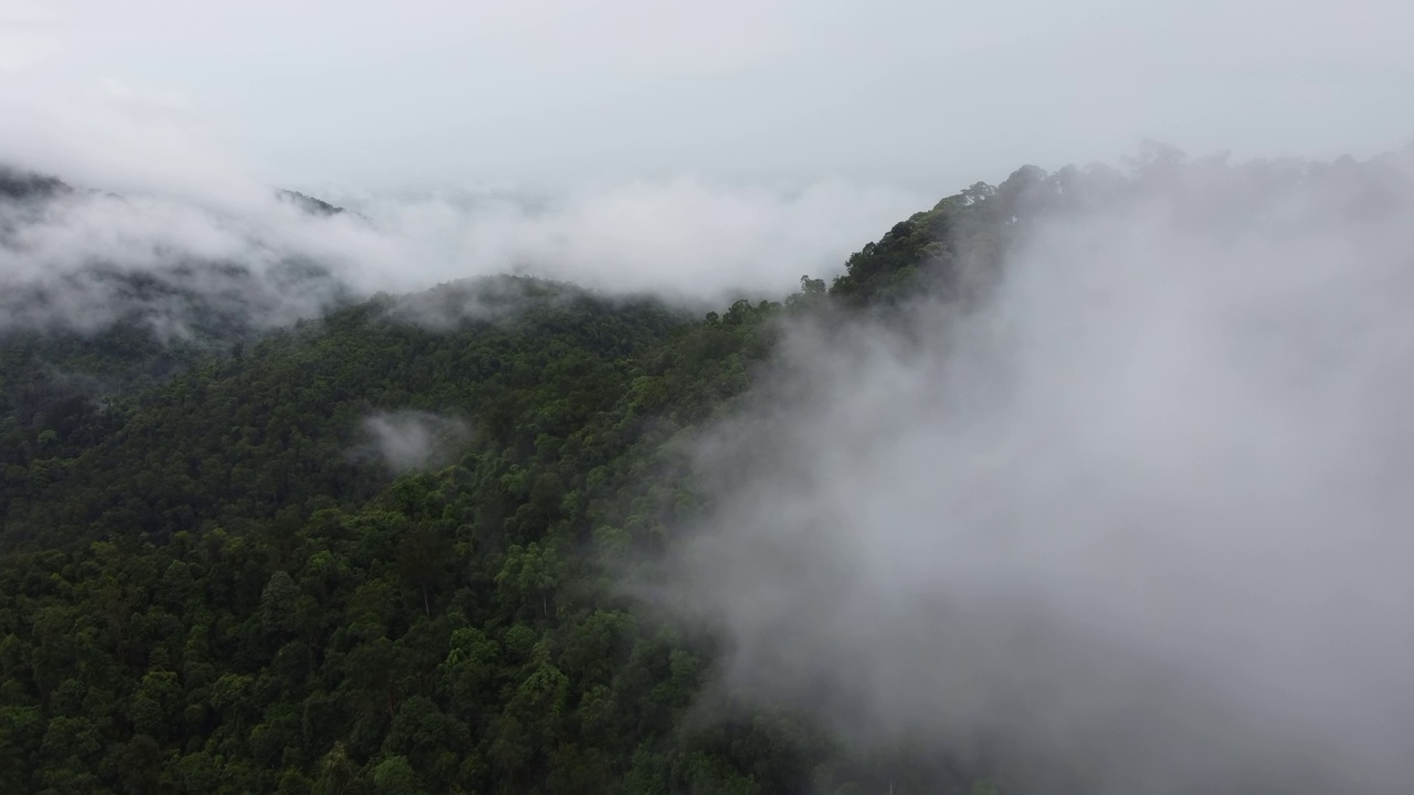 山被雾和低垂的云覆盖着视频素材