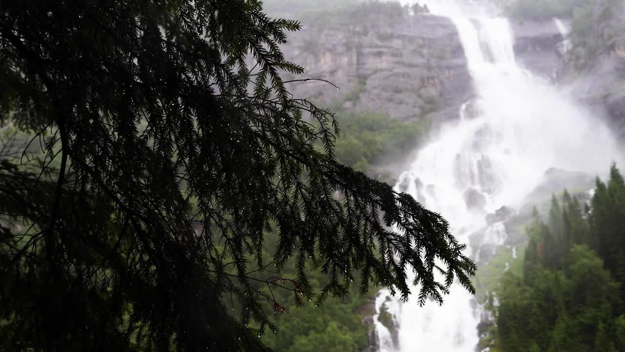 多云雨天的Tjornadalsfossen瀑布，周围环绕着挪威的绿色松林。水从陡峭的山面流下，在忧郁的日子里形成薄雾。视频素材