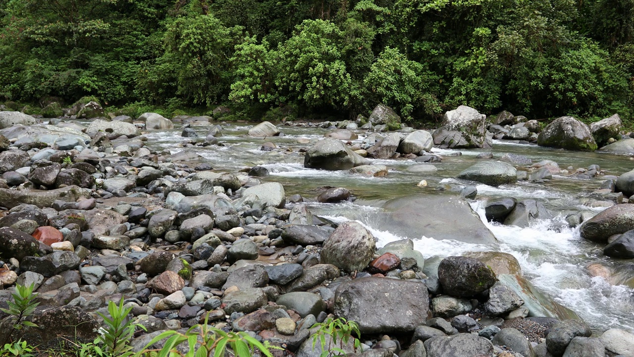 奥罗西河，也被称为大奥罗西河，是哥斯达黎加靠近塔拉曼卡山的一条河流。塔班蒂-死亡山国家公园。哥斯达黎加荒野景观视频下载