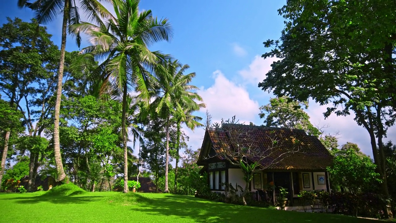 房子坐落在热带的绿色林间空地上，周围是热带树木视频素材