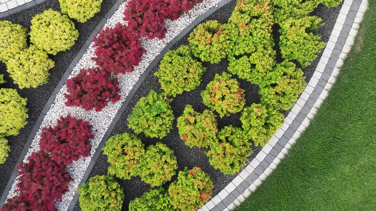 住宅后花园中优雅多彩的植物鸟瞰图视频素材