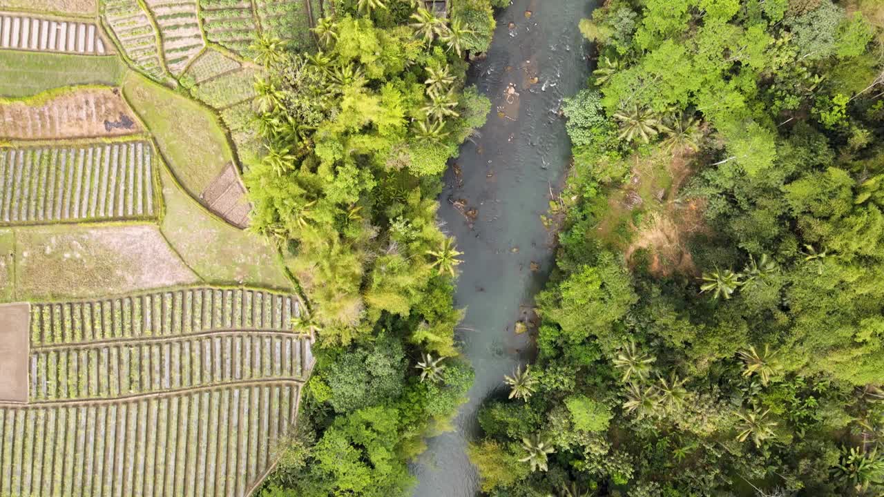 无人机拍摄的岩石河，旁边有树木和种植园。印度尼西亚的乡村景观- 4K鸟瞰图视频素材