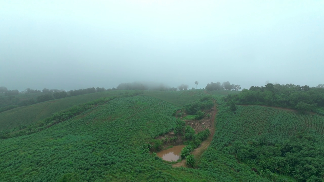 鸟瞰云雾笼罩在泰国旺南觉那空拉查西玛的热带雨林视频素材