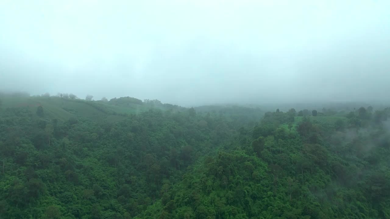 鸟瞰云雾笼罩在泰国旺南觉那空拉查西玛的热带雨林视频素材