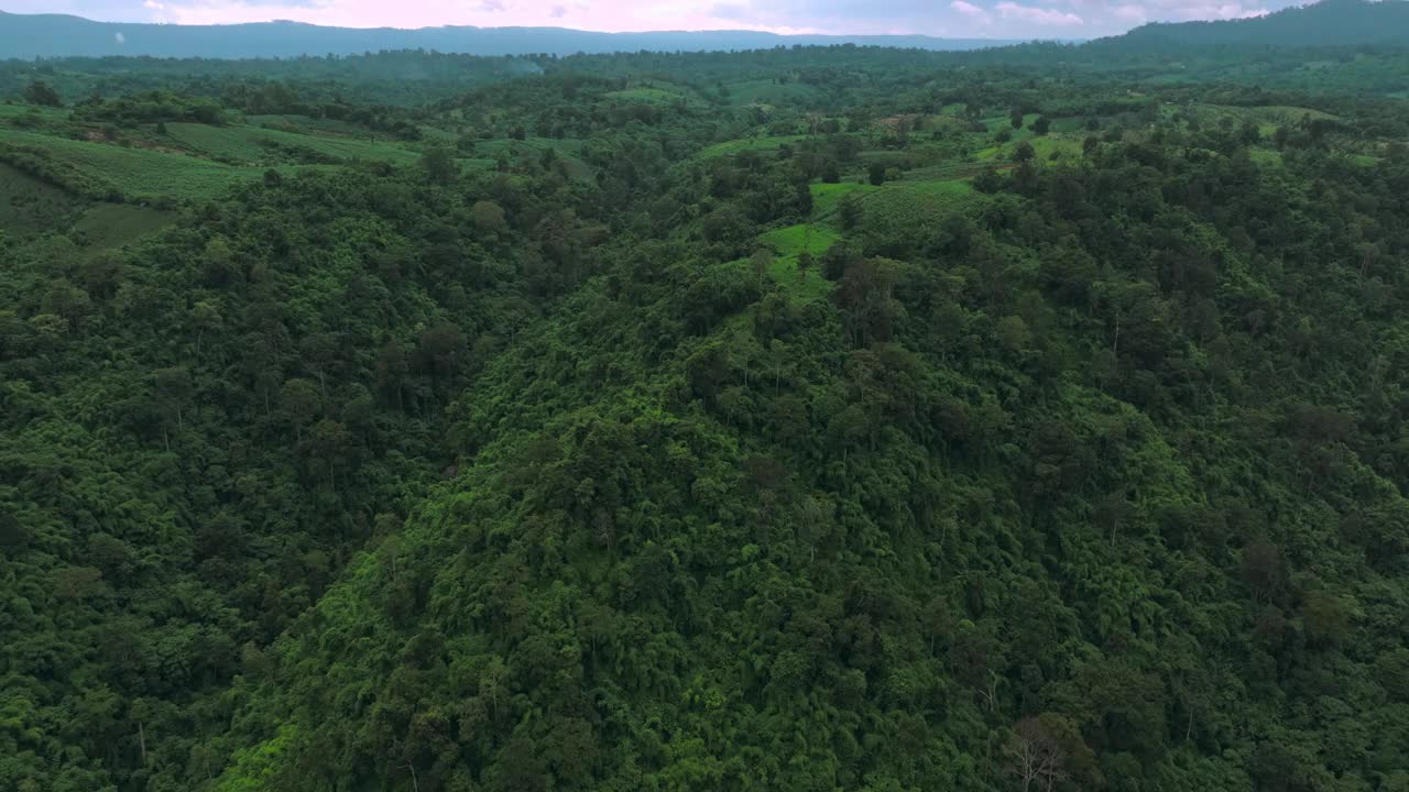 鸟瞰云雾笼罩在泰国旺南觉那空拉查西玛的热带雨林视频素材