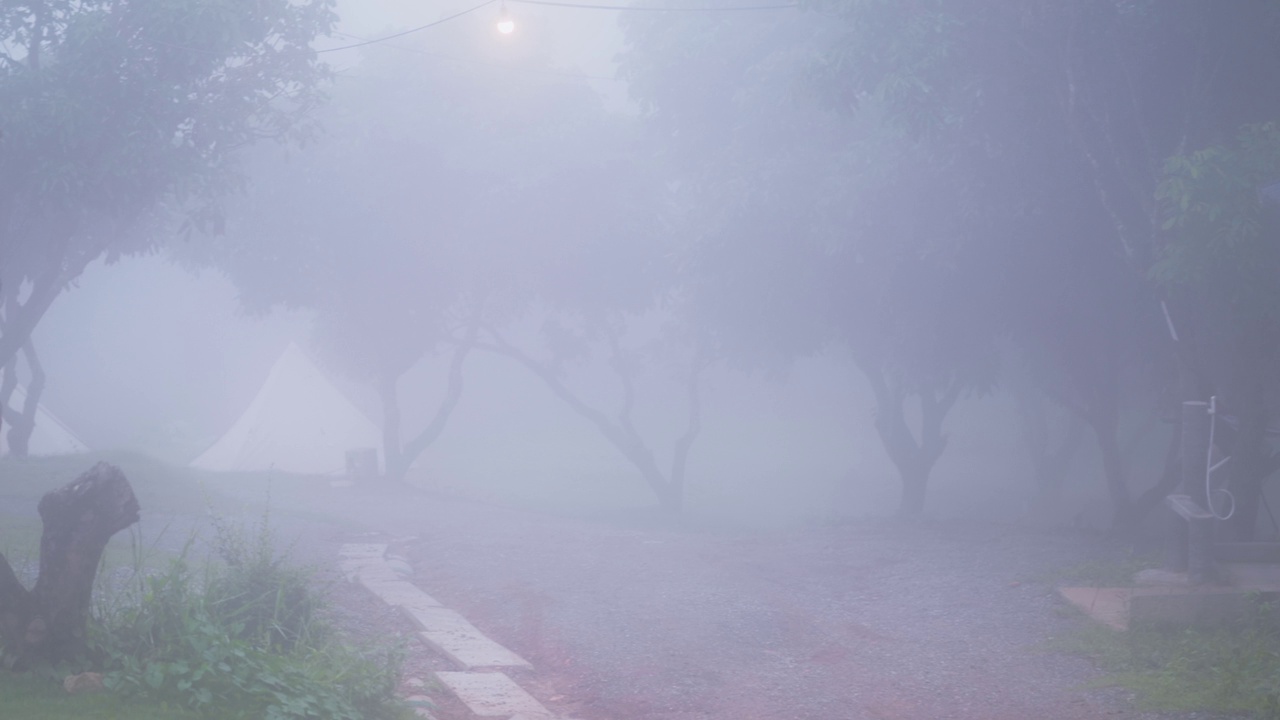 泰国旺南觉那空叻差玛热带雨林露营区的浓雾视频素材