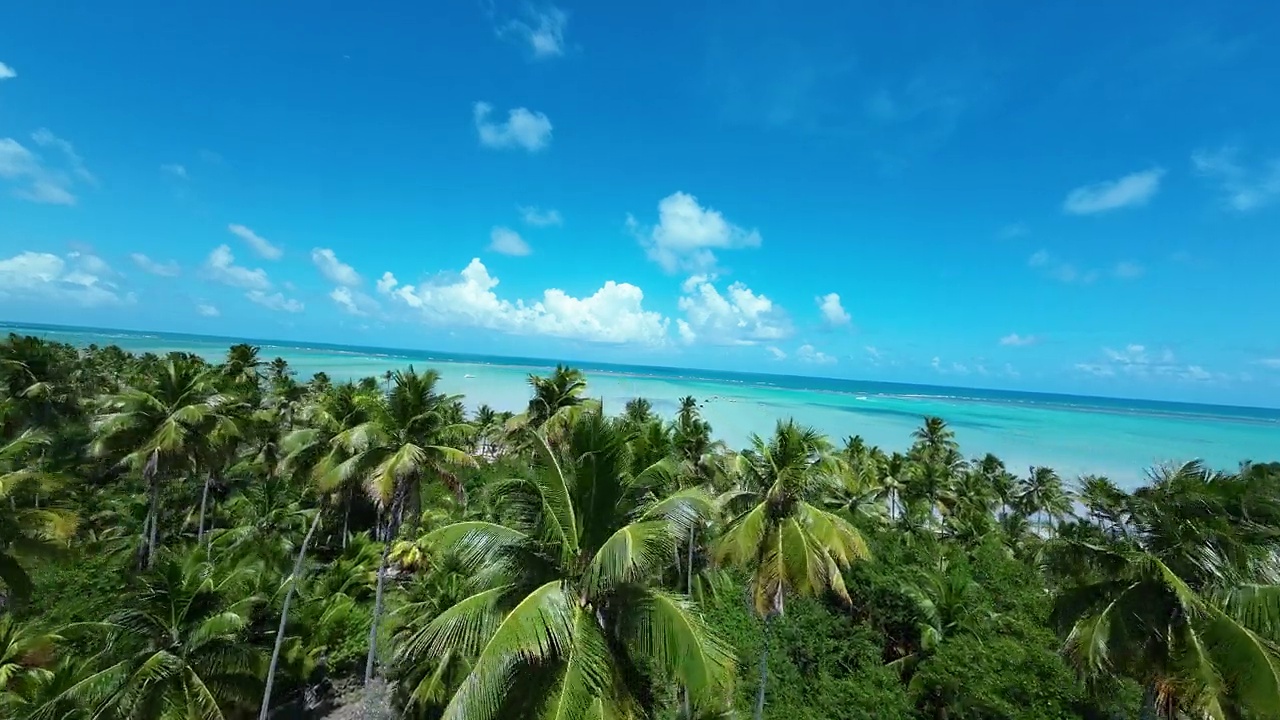 热带海滩在马拉戈吉在巴西阿拉戈斯。旅游景观。视频素材