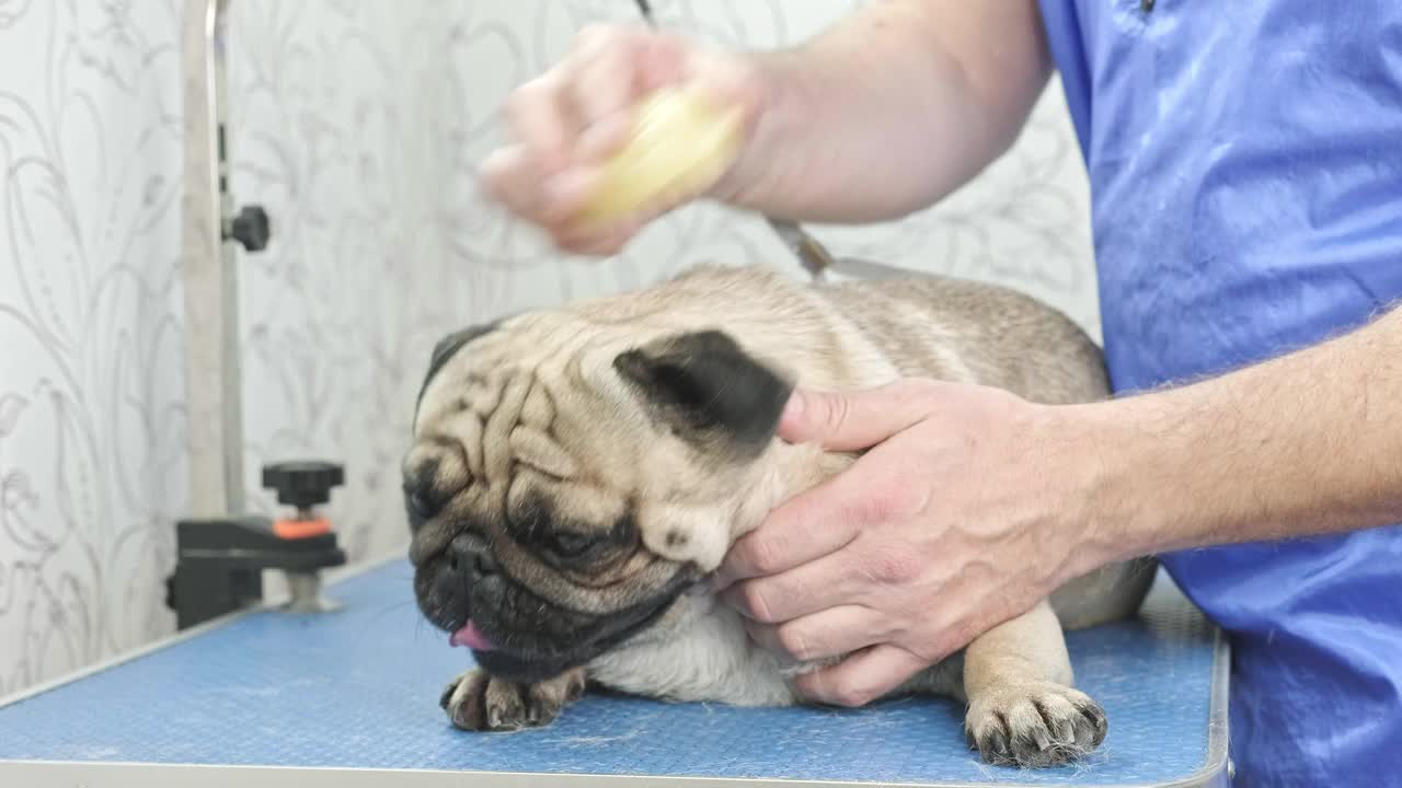 美容师在没有保护的情况下使用硅胶刷轻轻地去除剩余的头发视频素材