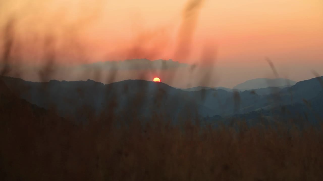 夏日的夕阳在山后和草丛中勾勒出剪影。视频素材