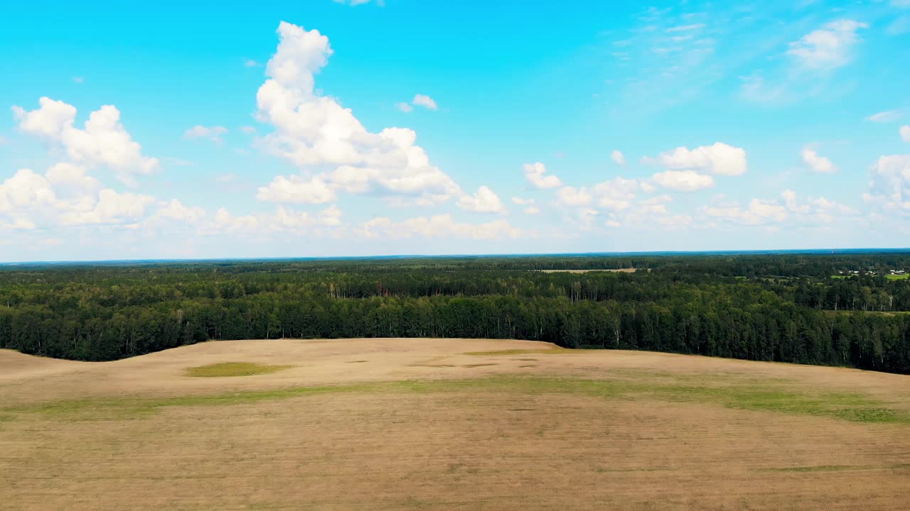 飞越收获的田野，无人机航拍，鼓舞人心的自由日落，黄色的秋天，橡树视频素材