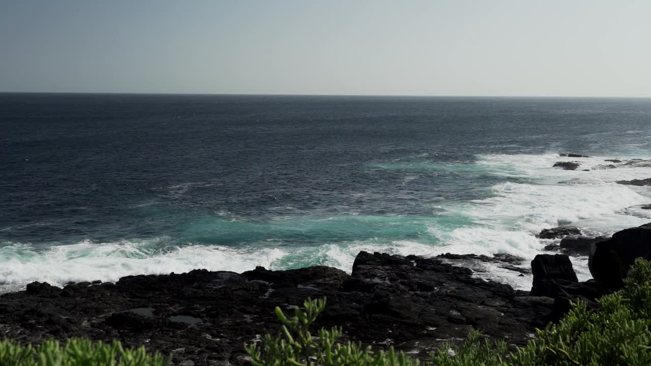 在加拉帕戈斯群岛的熔岩海滩上，太平洋的海水通过一个吹孔被挤压，喷出咸水喷雾。视频素材