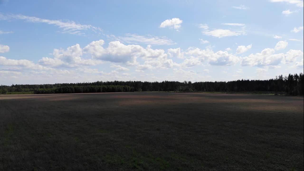 飞越收获的田野，无人机航拍，鼓舞人心的自由日落，黄色的秋天，橡树视频素材