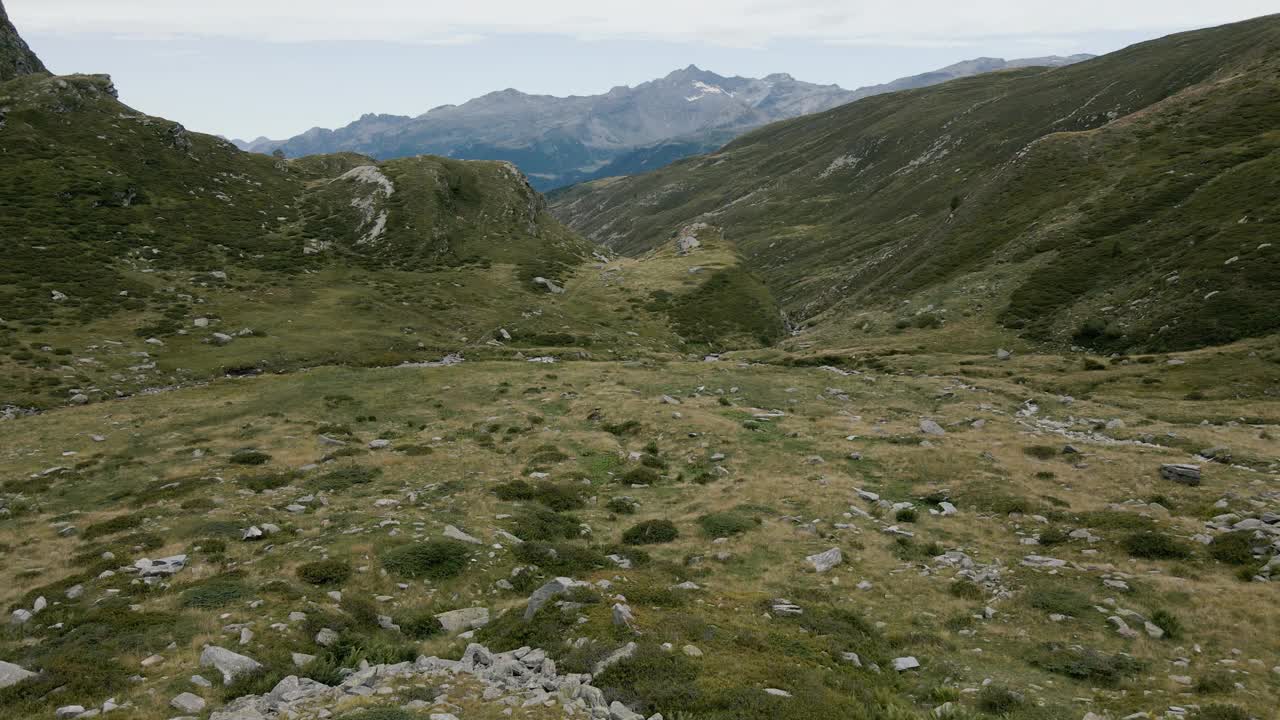 无人机在意大利阿尔卑斯山脉马德西莫山谷的高山牧场上空飞行视频素材