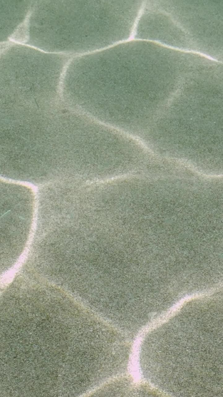 自然水下背景与阳光耀眼的沙滩海底，实时视频素材