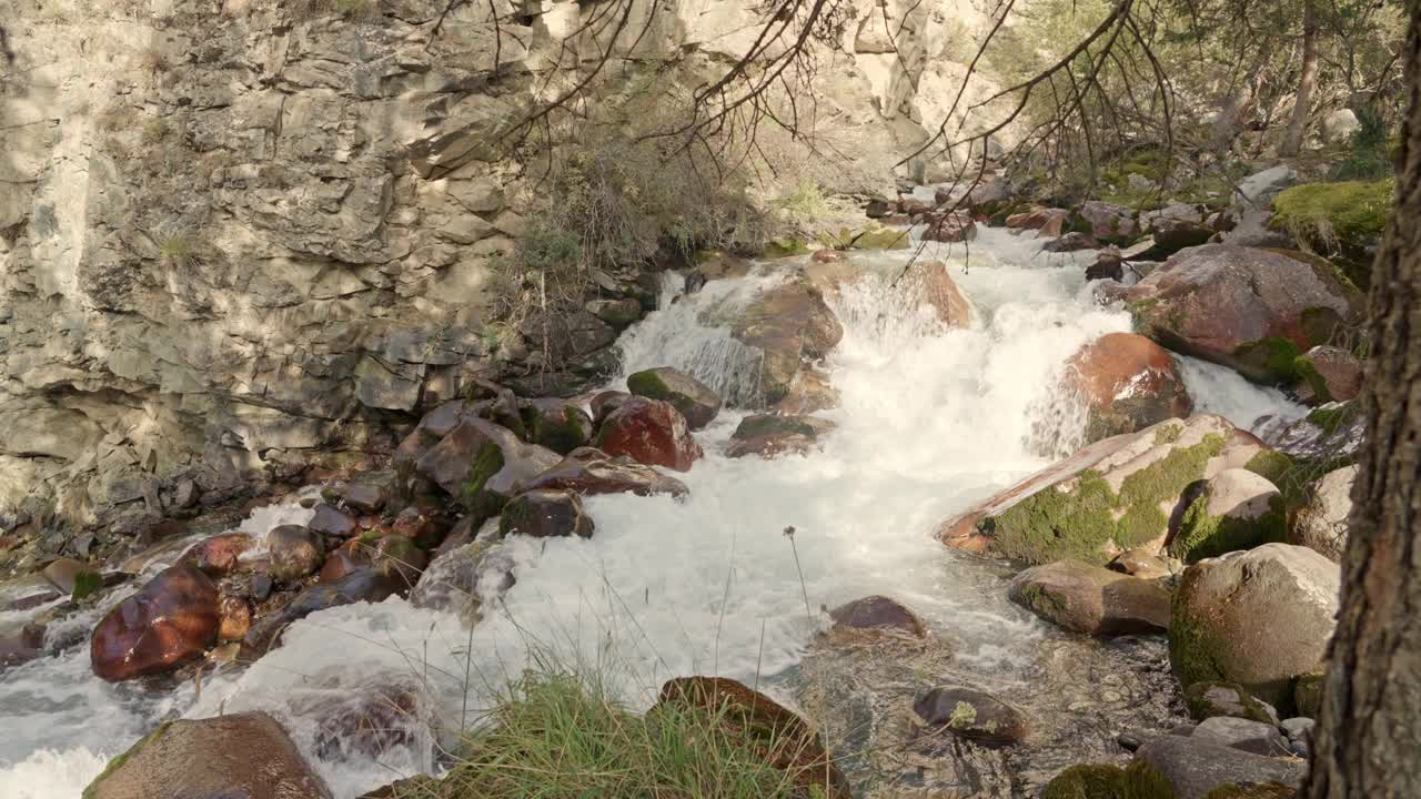 一条小溪在吉尔吉斯斯坦的群山中流淌视频素材