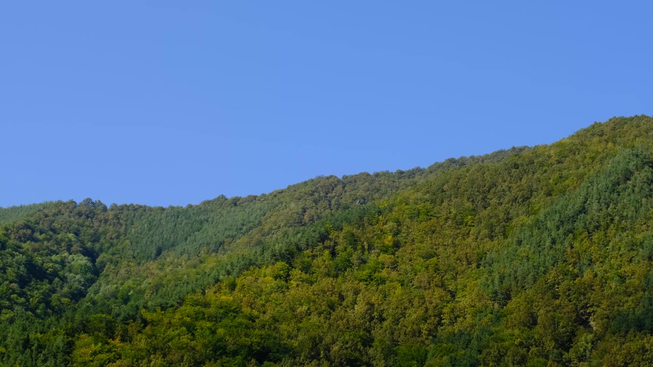 山峰全景，冷杉树和蓝色的晴空视频素材