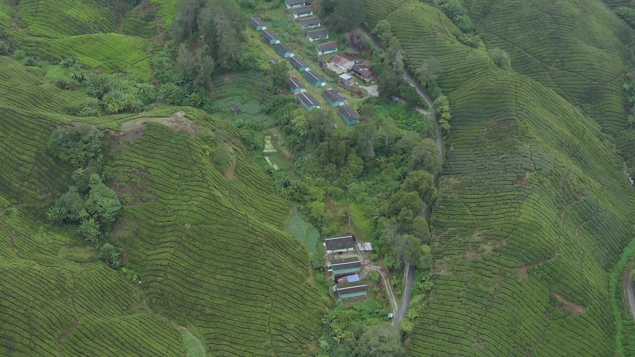 鸟瞰马来西亚金马仑高原的茶园和多风的道路视频下载