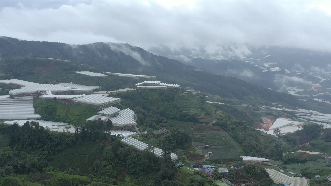 鸟瞰马来西亚金马仑高原的茶园和多风的道路视频下载